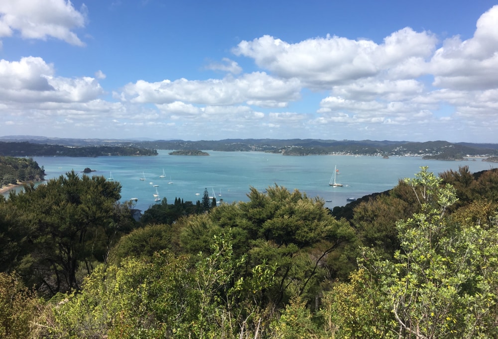 Tag 5: Bay of Island & Paihia am Sonntag