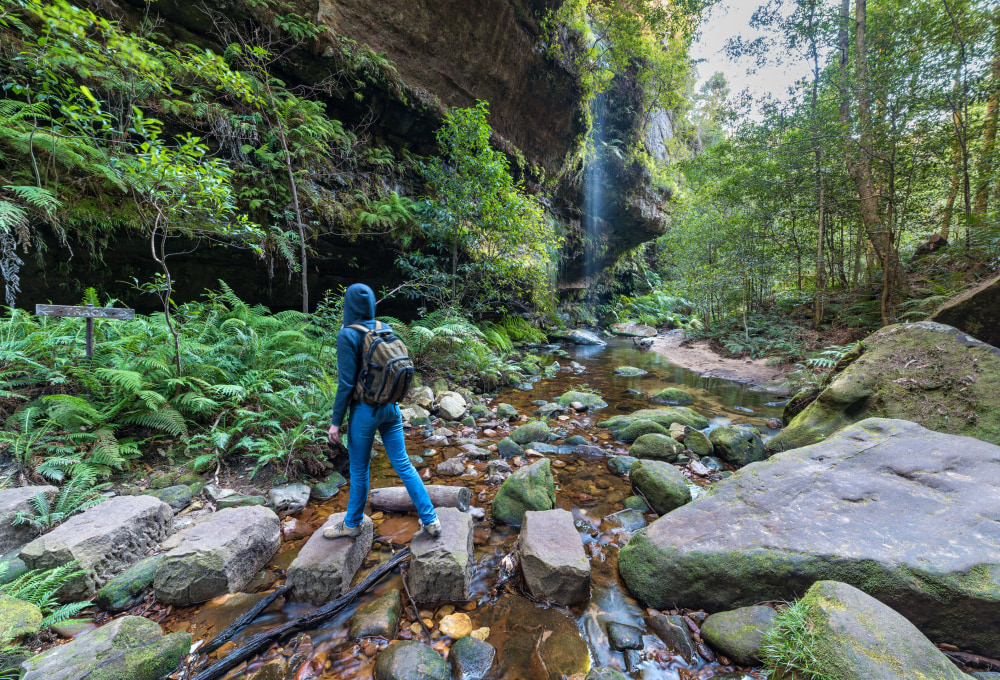 Tag 5: Blue Mountains