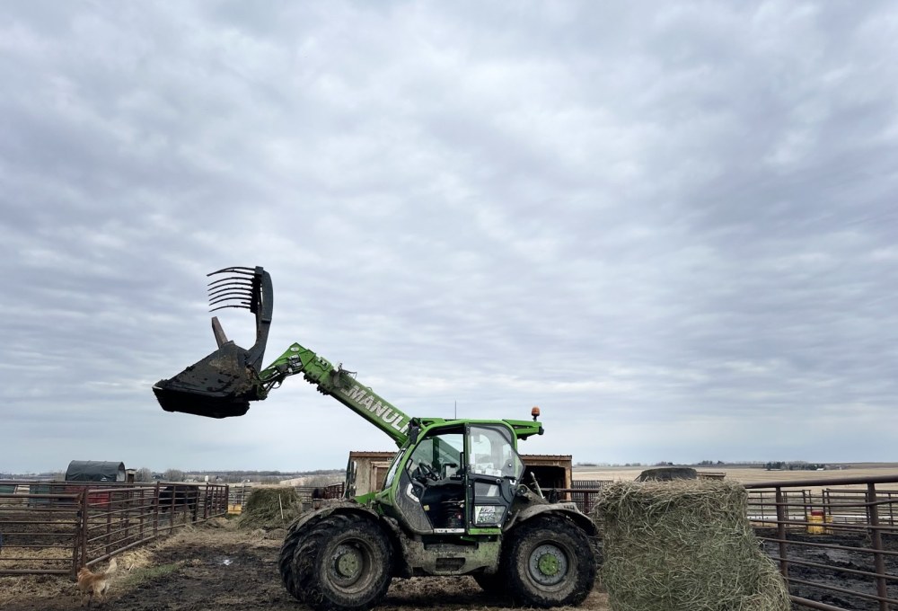 Dein Farmstay-Projekt