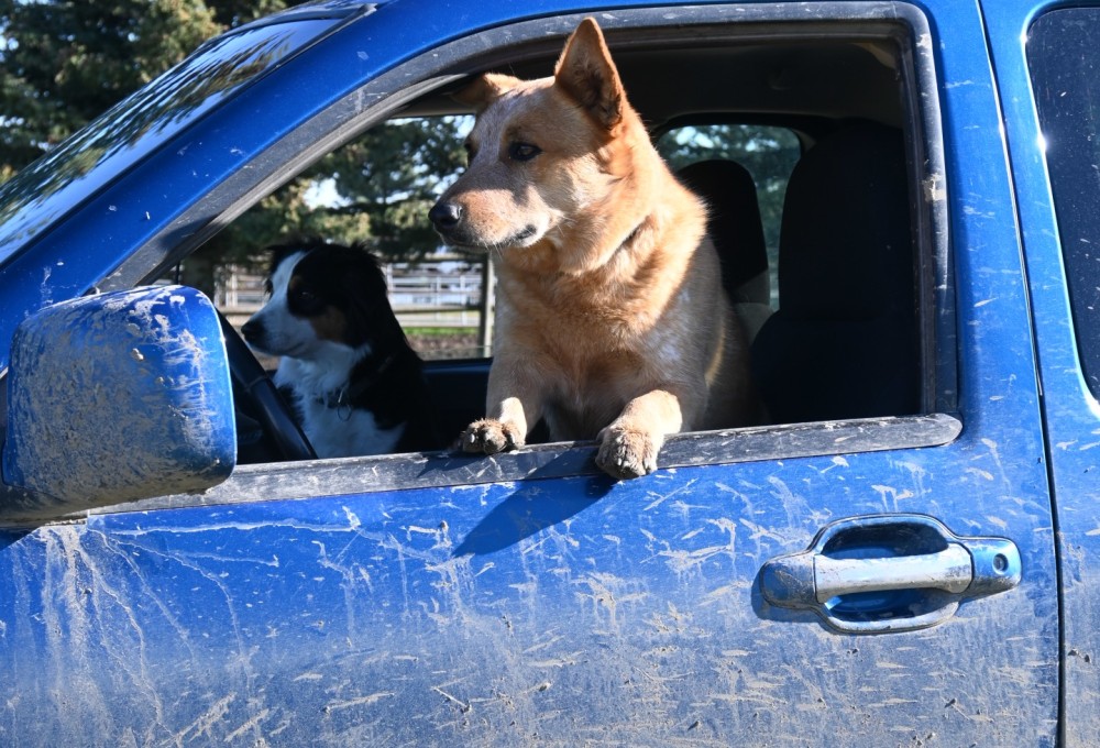 Dein Farmstay-Projekt