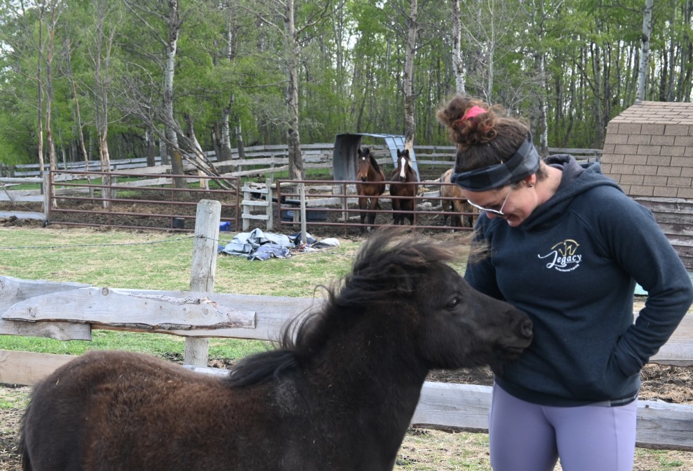 Dein Farmstay-Projekt