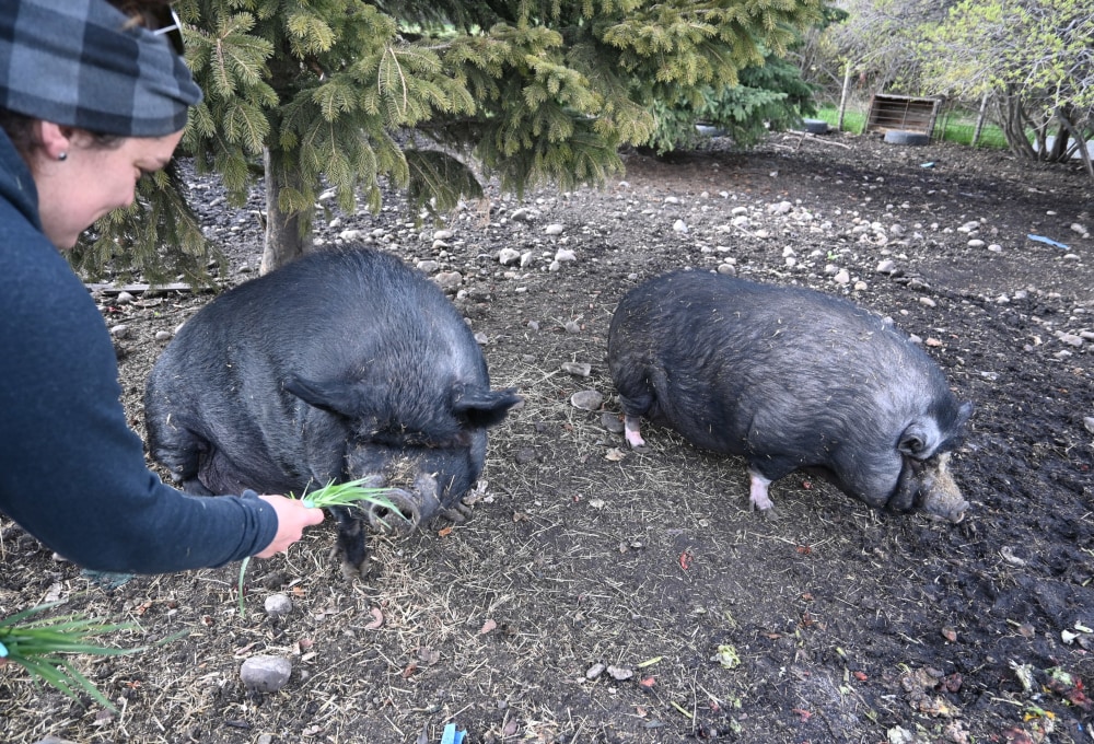 Dein Farmstay-Projekt