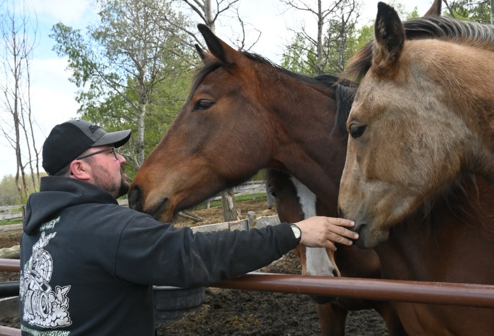 Dein Farmstay-Projekt