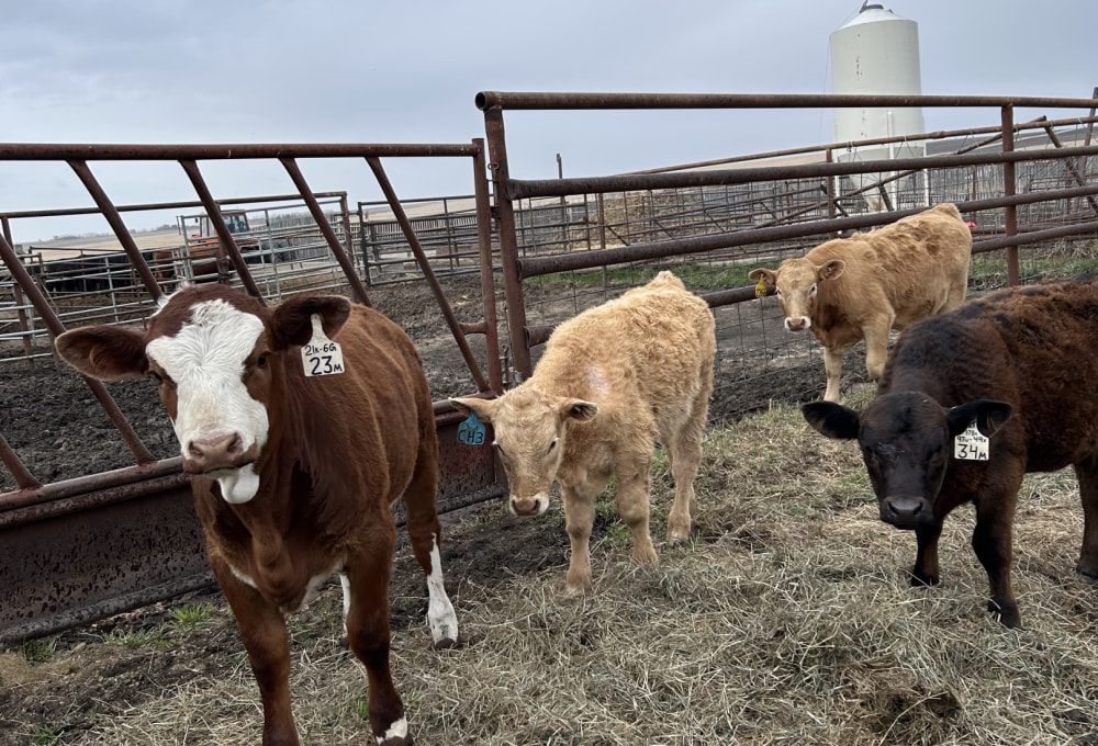 Dein Farmstay-Projekt