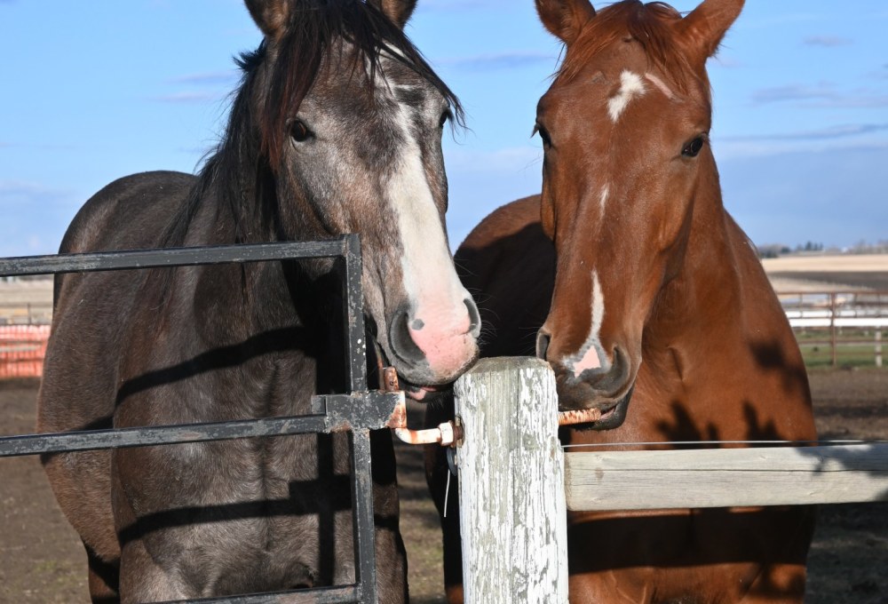 Dein Farmstay-Projekt