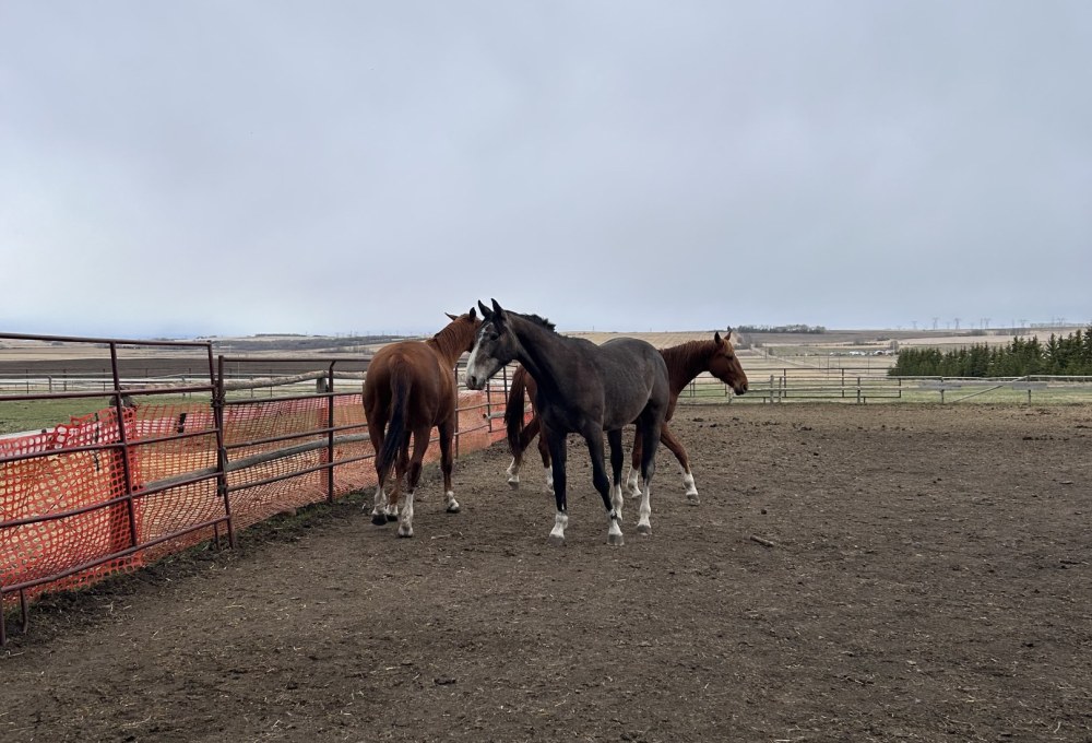 Dein Farmstay-Projekt