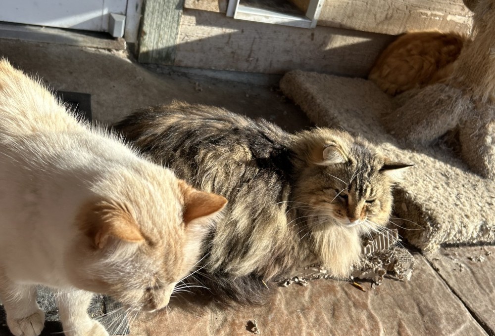 Ab Tag 3 - Dein Projekt