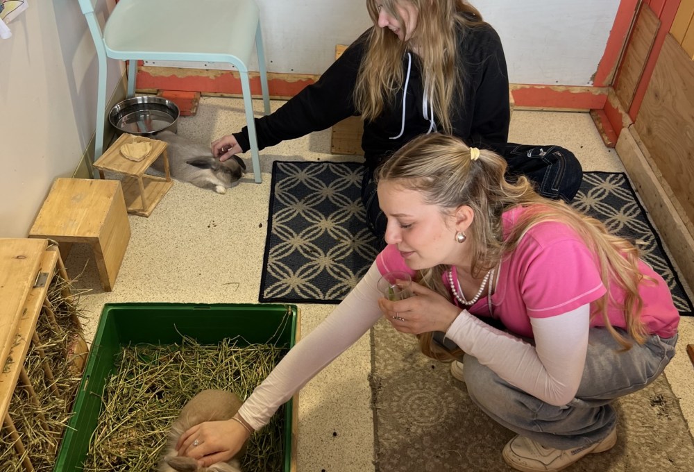 Ab Tag 3 - Dein Projekt