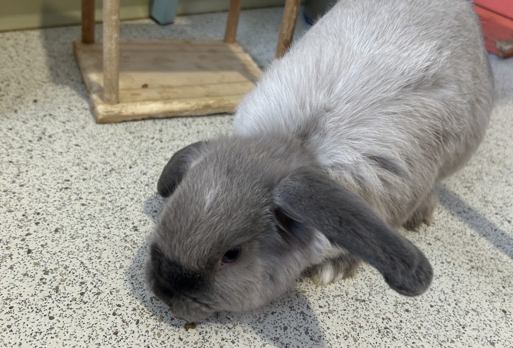 Ab Tag 3 - Dein Projekt