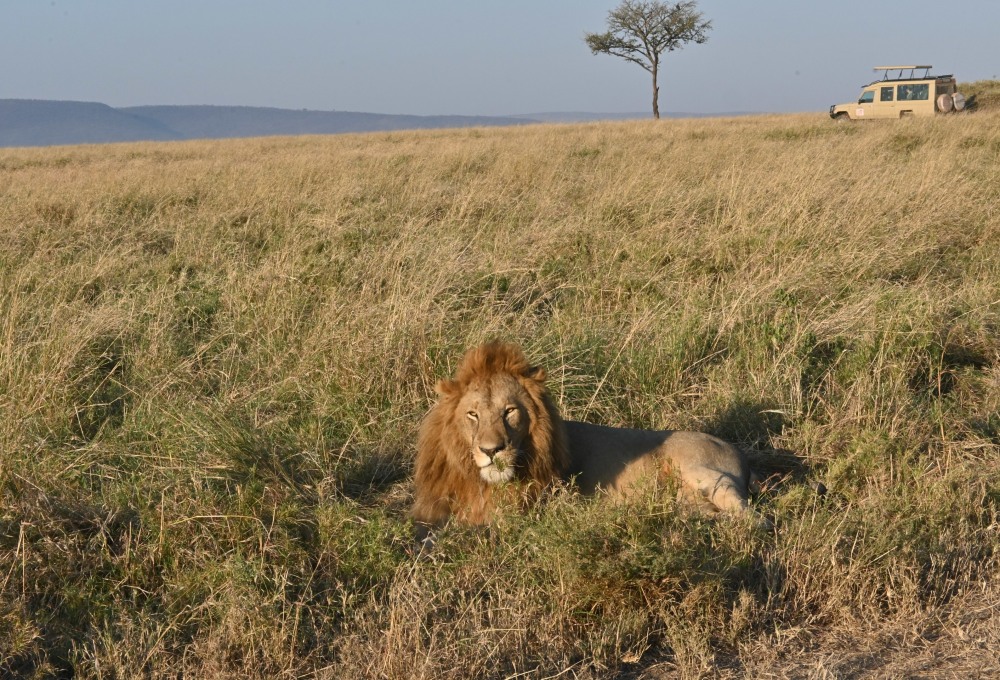 Tag 4: Sonnenaufgangs-Safari