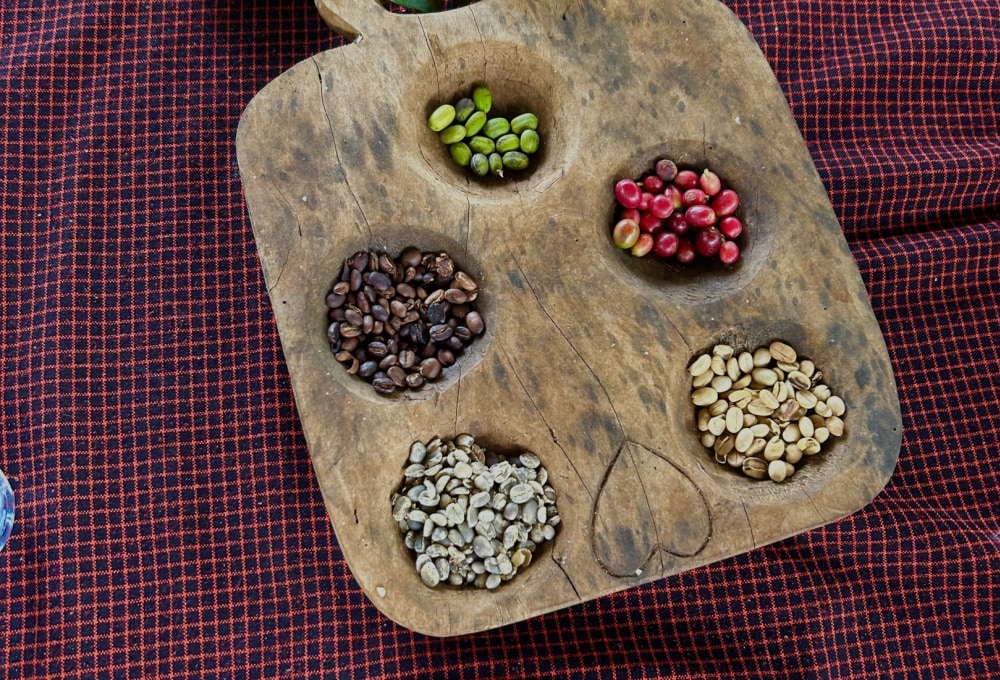 Tag 7: Materuni-Wasserfall und Kaffee-Tour