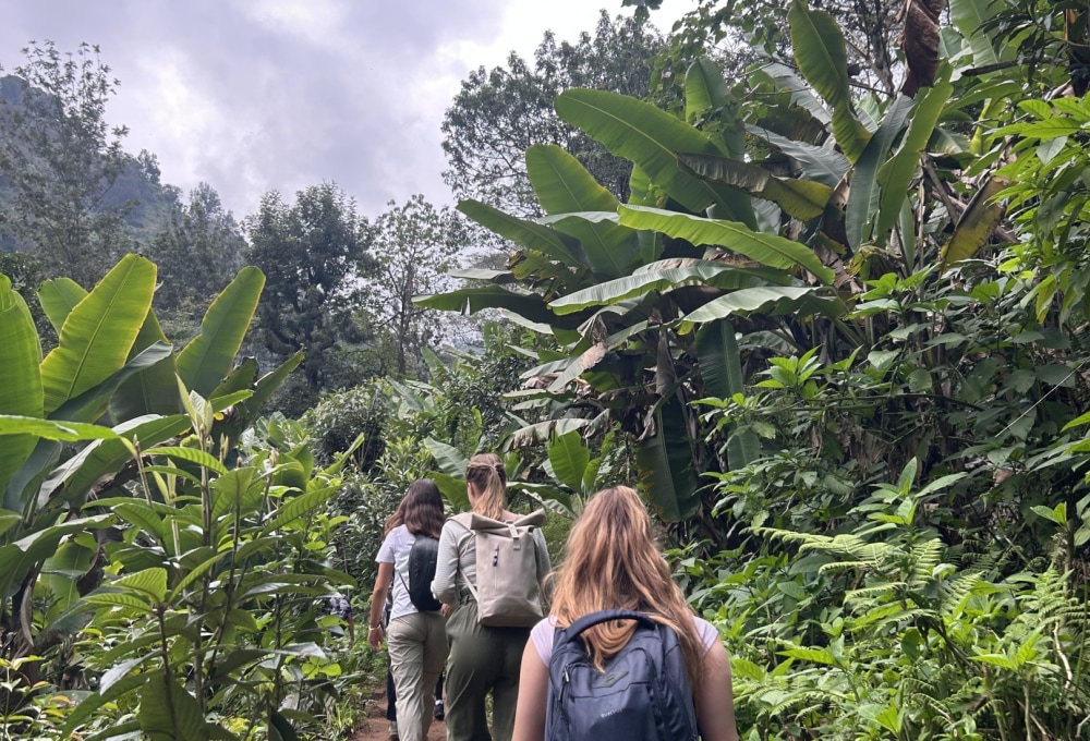 Tag 7: Materuni-Wasserfall und Kaffee-Tour