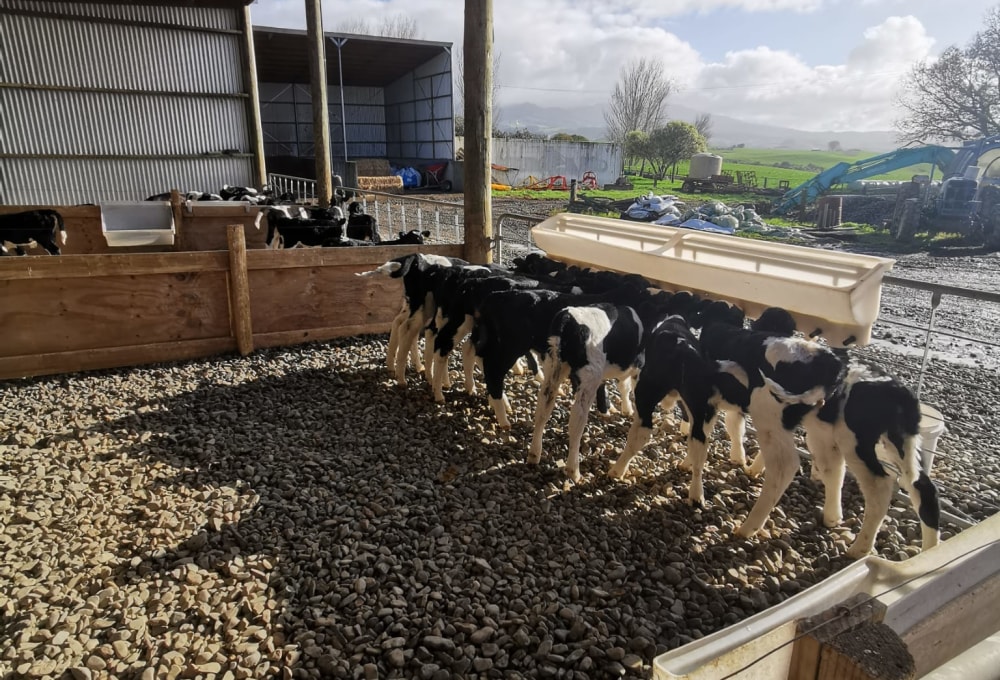 Dein Farmstay-Projekt