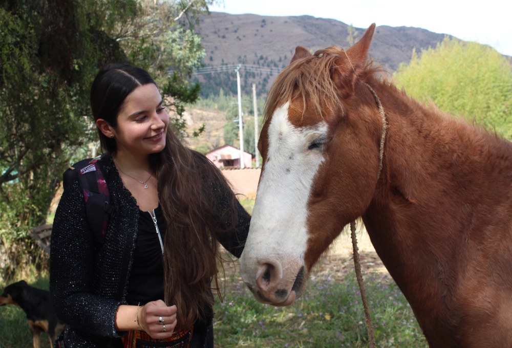 Pferde-Projekt in Peru