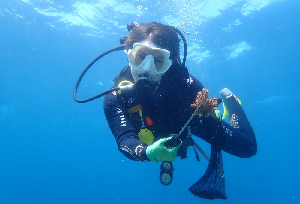 Meeresschildkröten und Korallenschutz auf Nusa Penida, Bali
