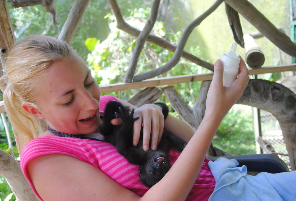 Dein Wildlife Projekt in Costa Rica