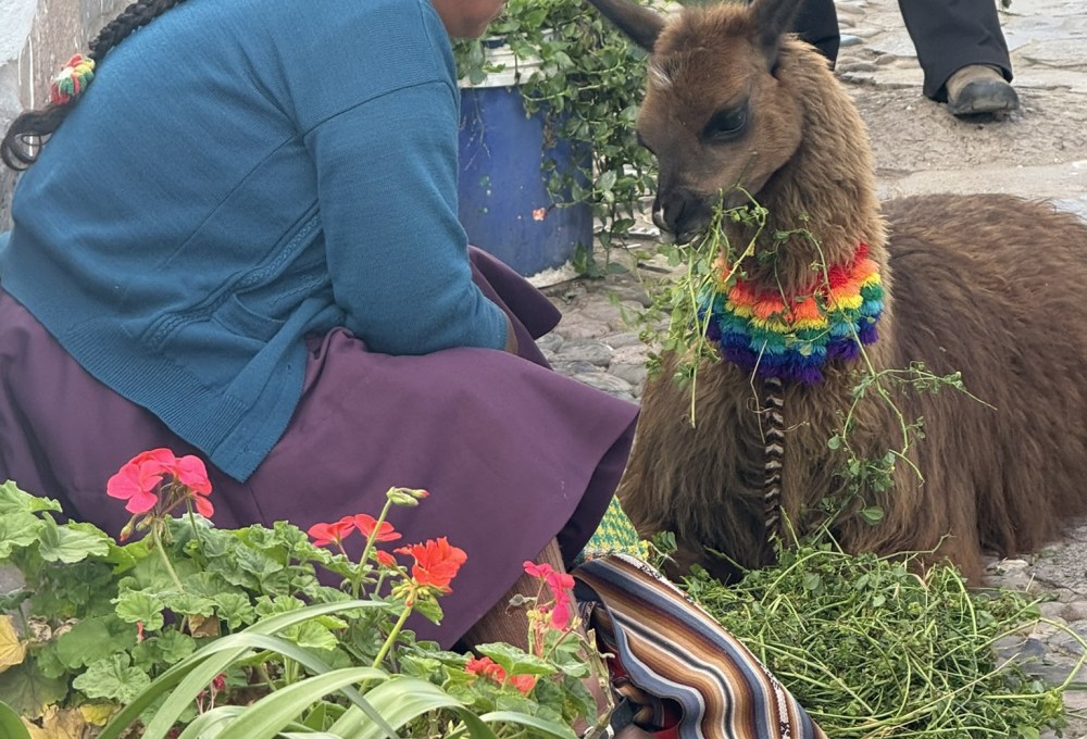 Tag 3 – Bienvenidos, deine Einführungsveranstaltung am Montag  
