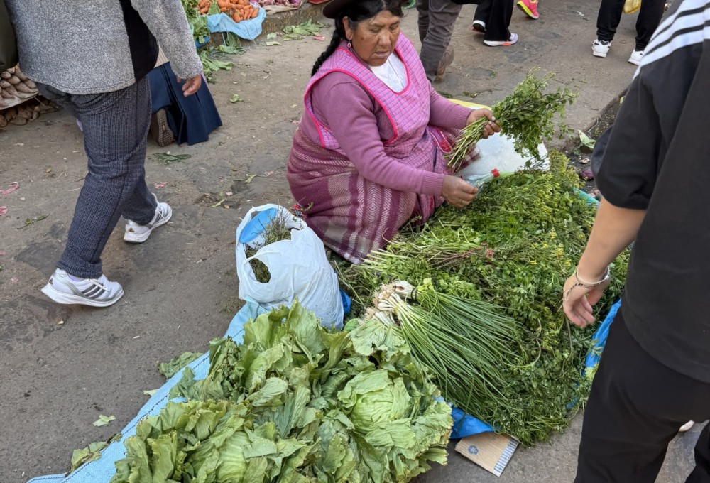 Tag 3 – Bienvenidos, deine Einführungsveranstaltung am Montag  