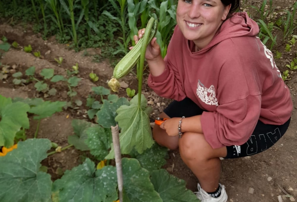 Dein Projekt auf Lipsi Island