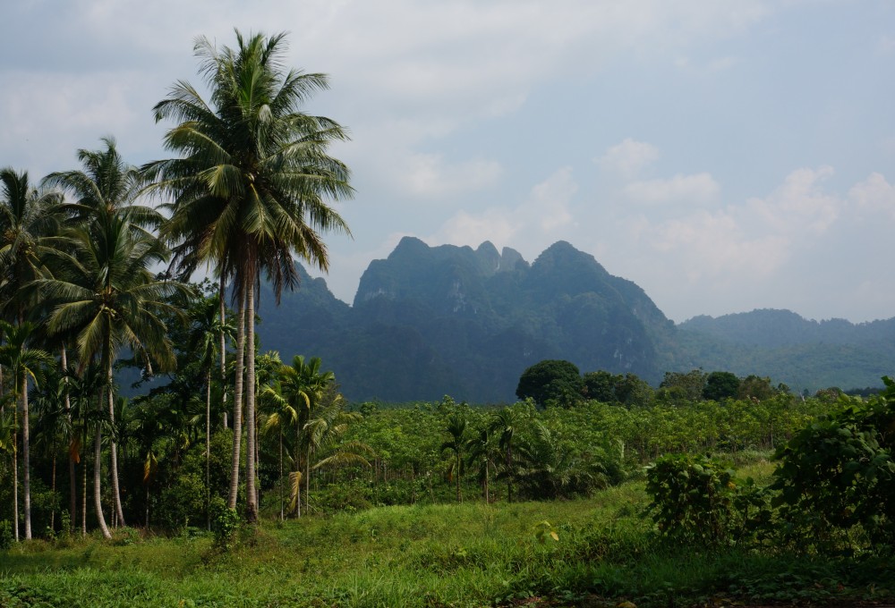 Tag 3: Nachtzug zum Dschungel