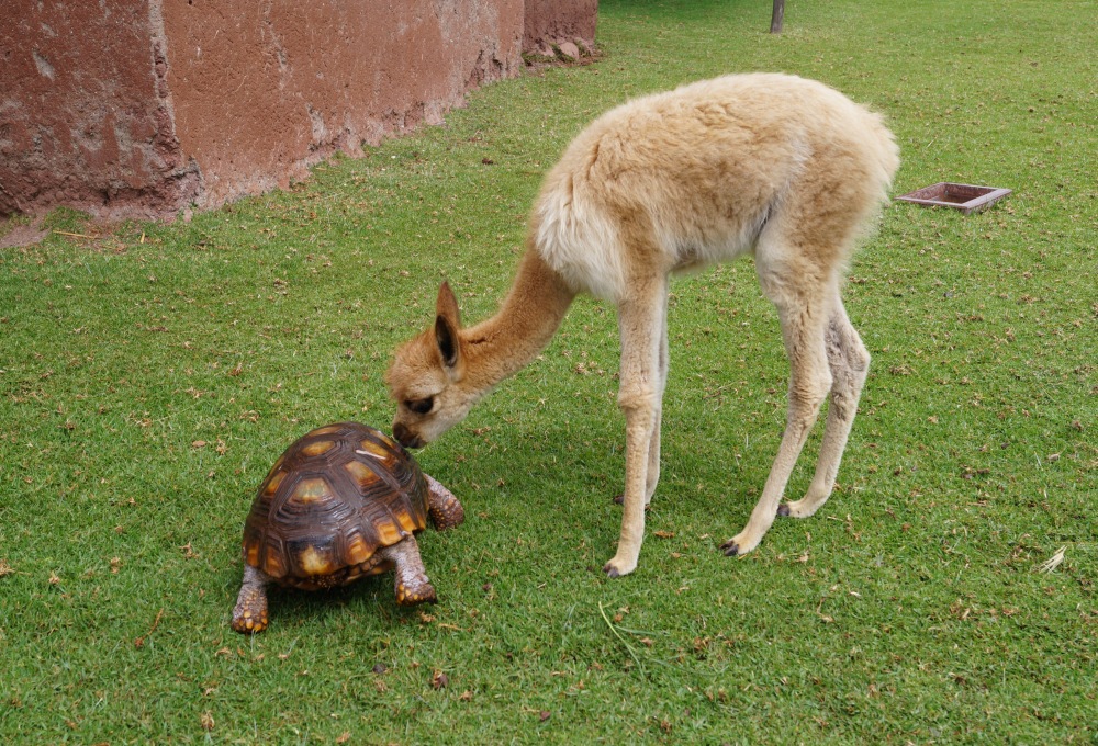 Beispiel für einen typischen Tag in deinem Projekt