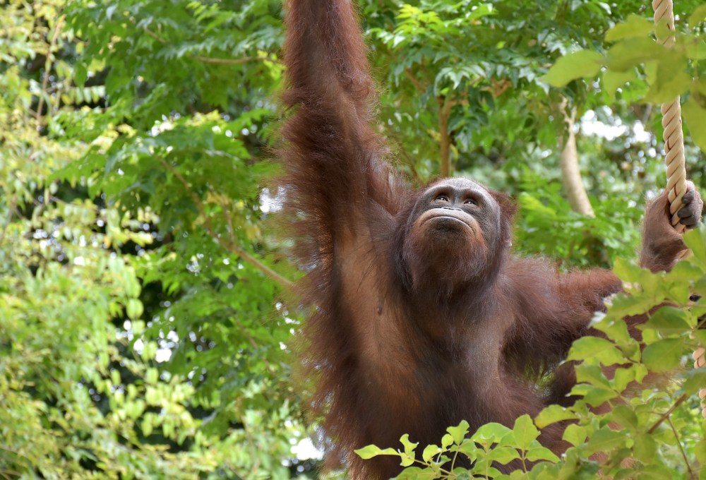 Woche 1/folgend - Dein Projekt 