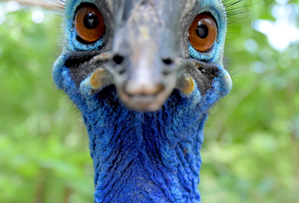 Woche 1/folgend - Dein Projekt 