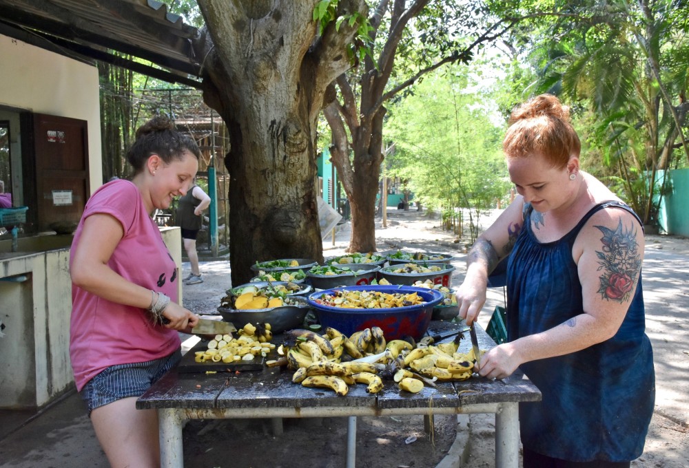Woche 1/folgend - Dein Projekt 