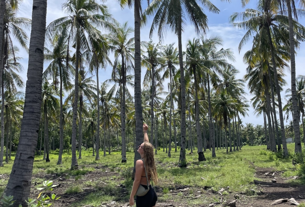 Tag 10: Gili Trawangan