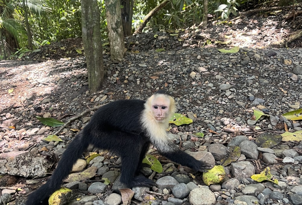 Tag 10: Freizeit im Nationalpark