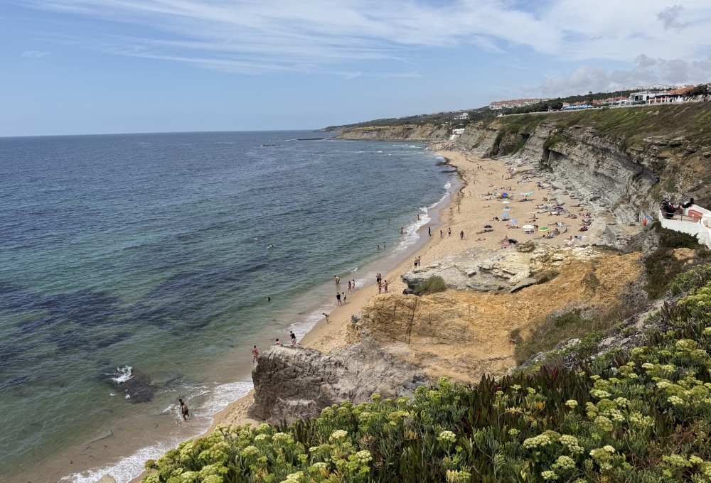 Tierschutz-Projekt in Portugal