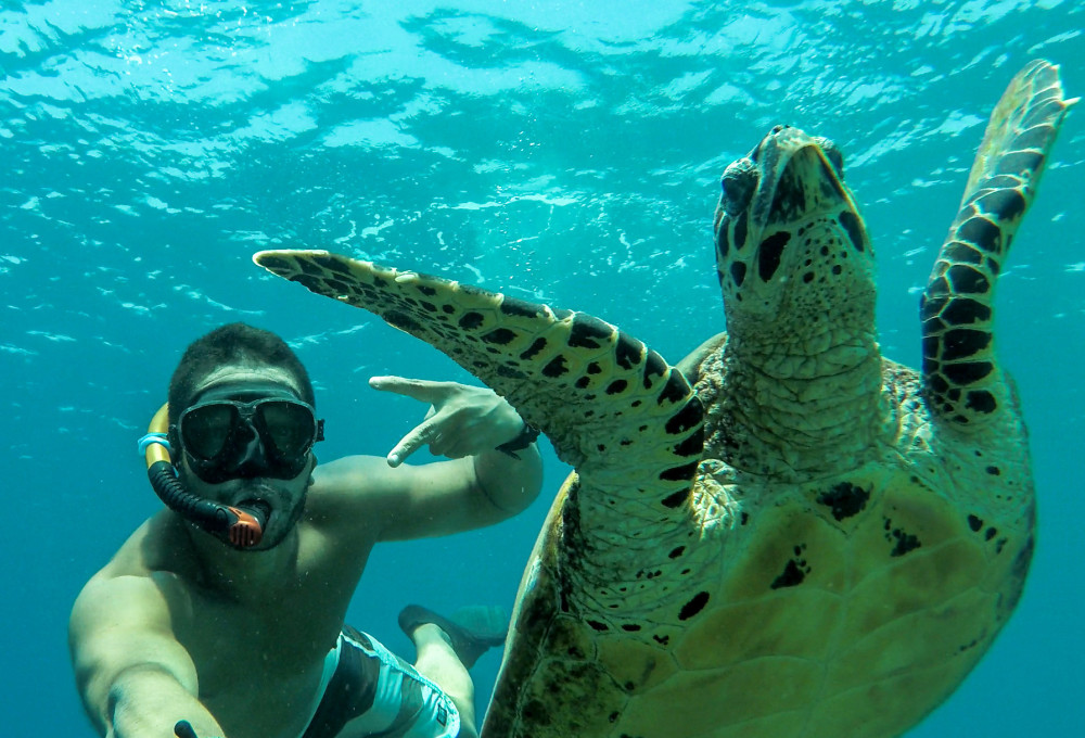 Tag 8-10: Gili Trawangan