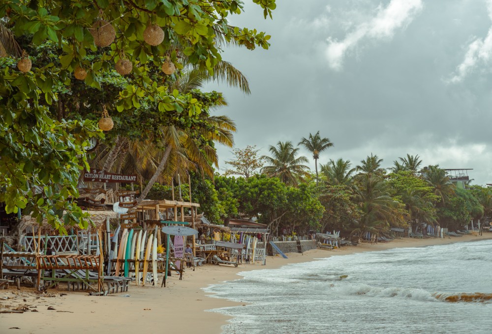 Help Surf Explore Sri Lanka