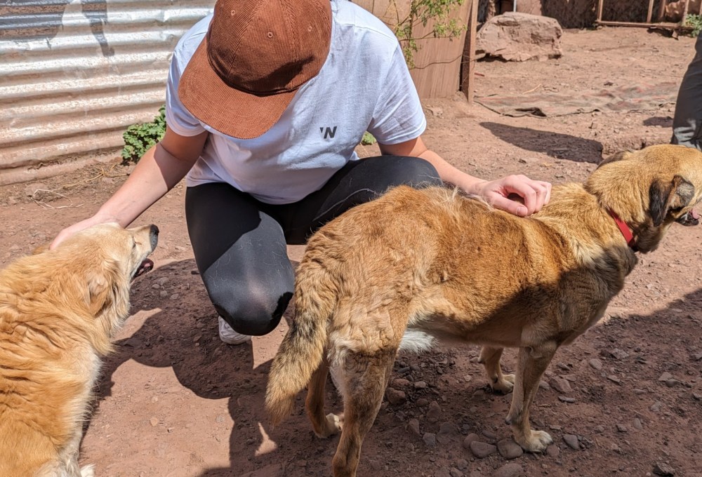 ab Woche 2 - Dein Projekt