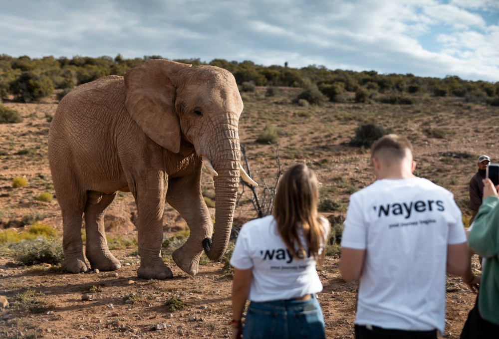 Tag 4: Cango Caves & Elefanten-Beobachtung