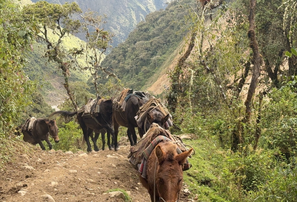 Tag 2: SOPRAYPAMPA - CHAULLAY