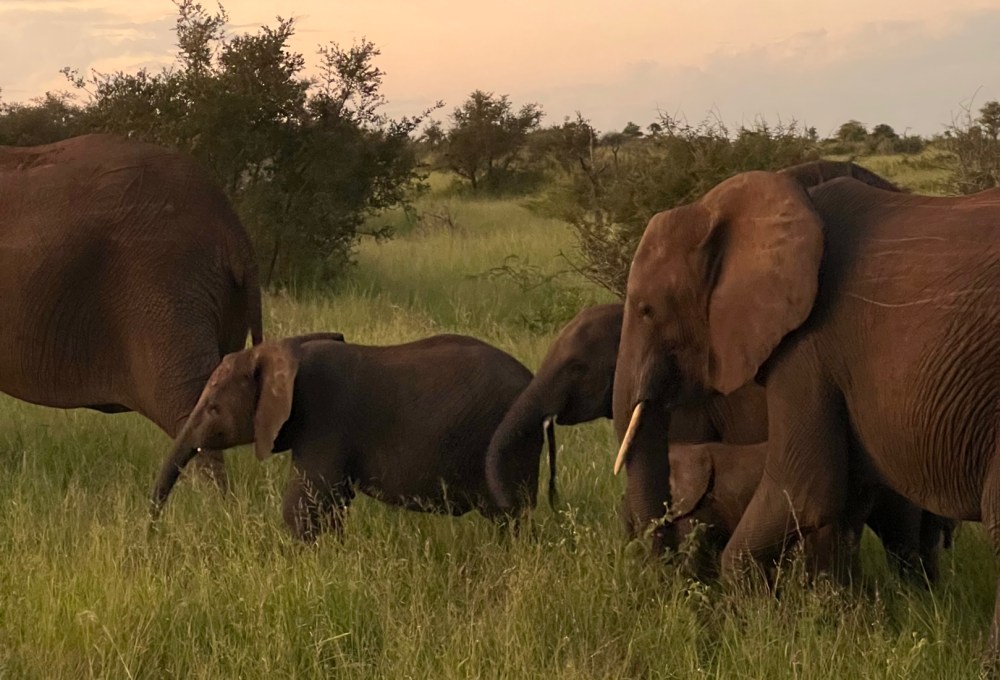 Beispiel für eine typische Woche in deinem Projekt