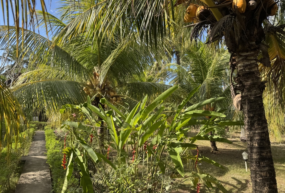 Unterkunft auf Nusa Penida