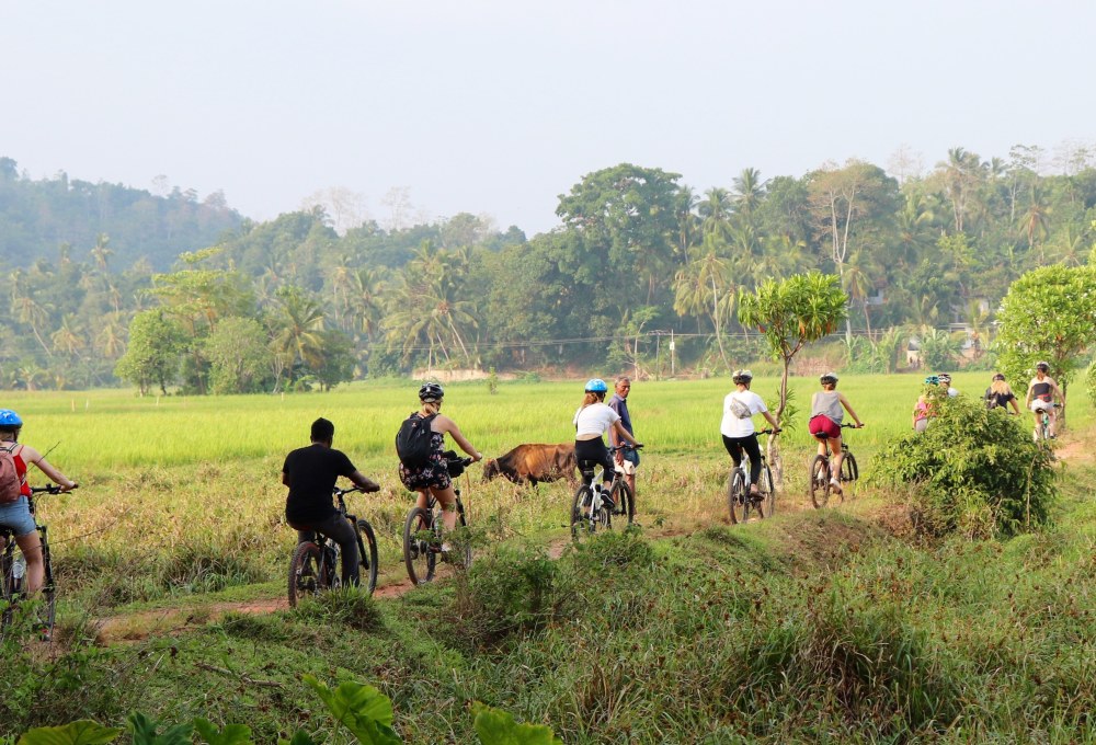 Tag 5: Radtour, Surfen & Marissa