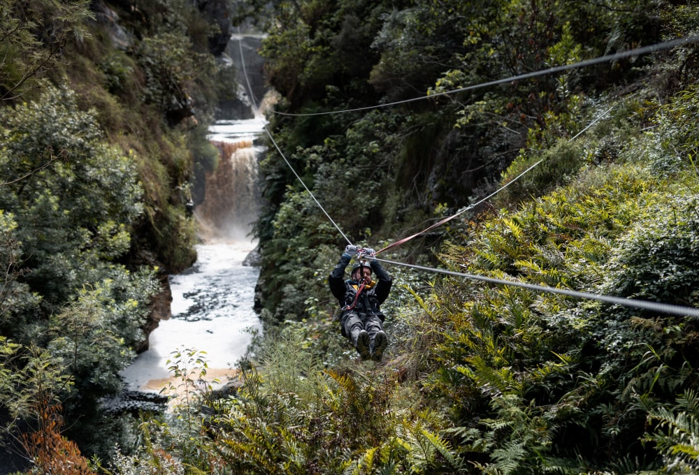 Tag 2: Knysna, Tsitsikamma Nationalpark & Jeffrey's Bay