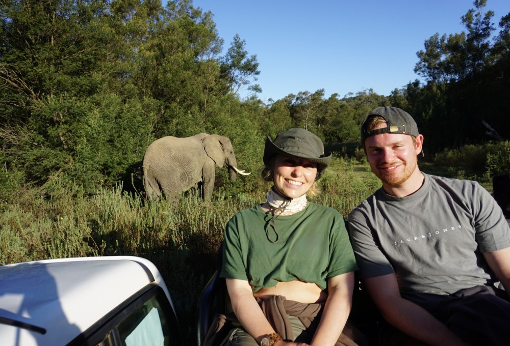 Big 5 Wildlife Projekt in Südafrika