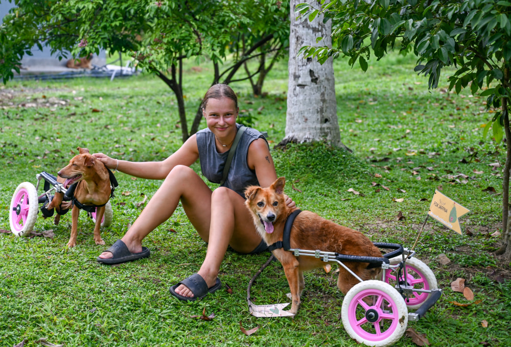 Woche 1: Dein Volunteering-Projekt