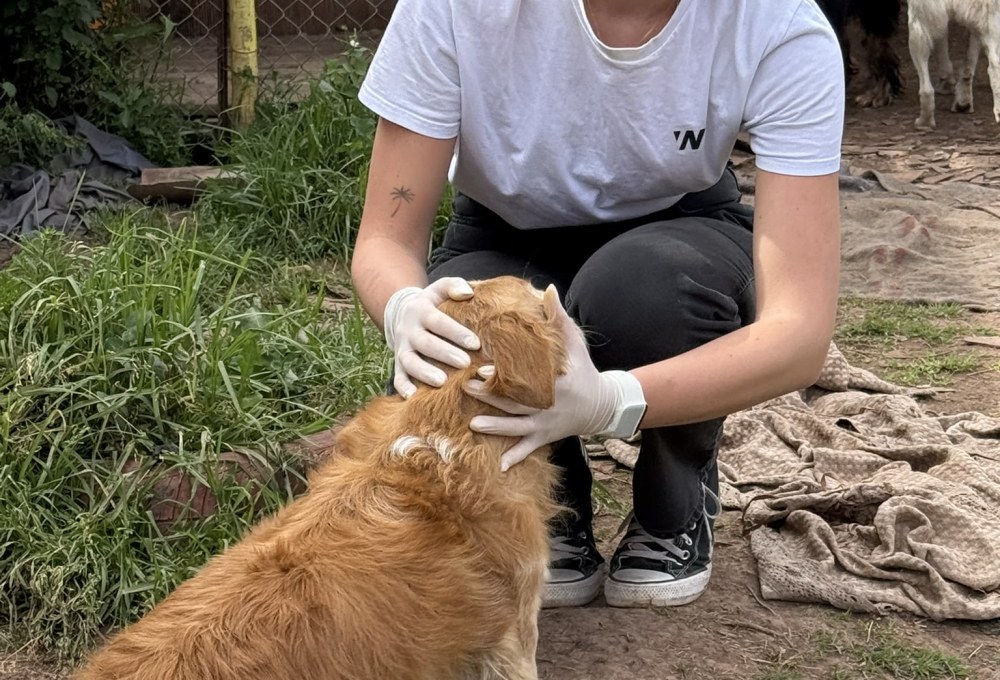 ab Woche 2 - Dein Projekt