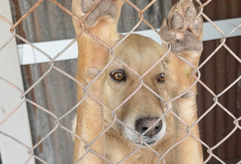 ab Woche 2 - Dein Projekt