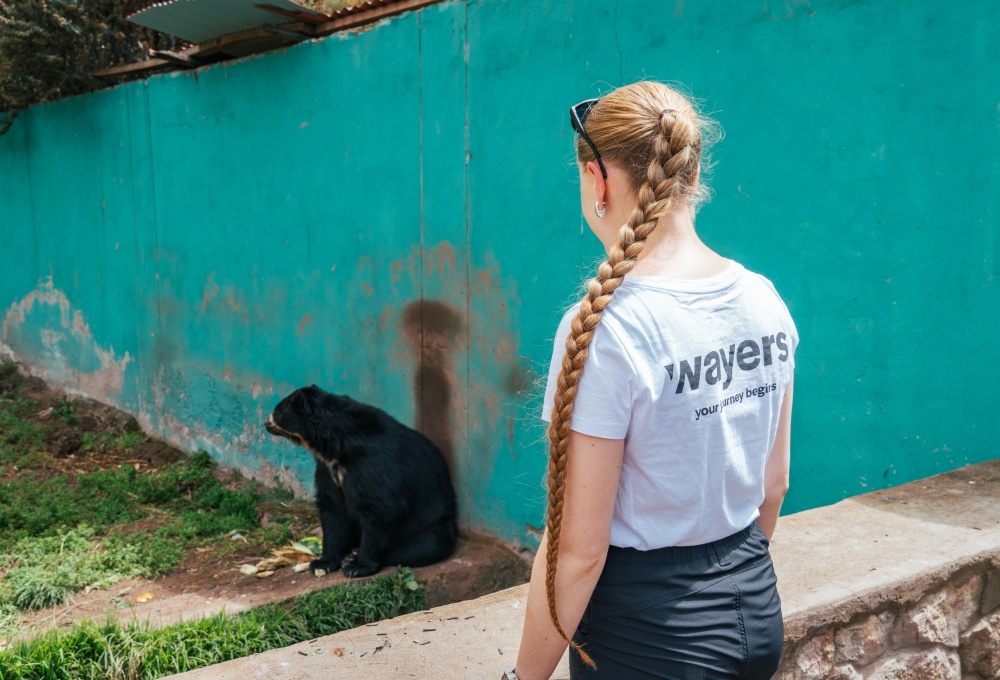 Beispiel für einen typischen Tag in deinem Projekt