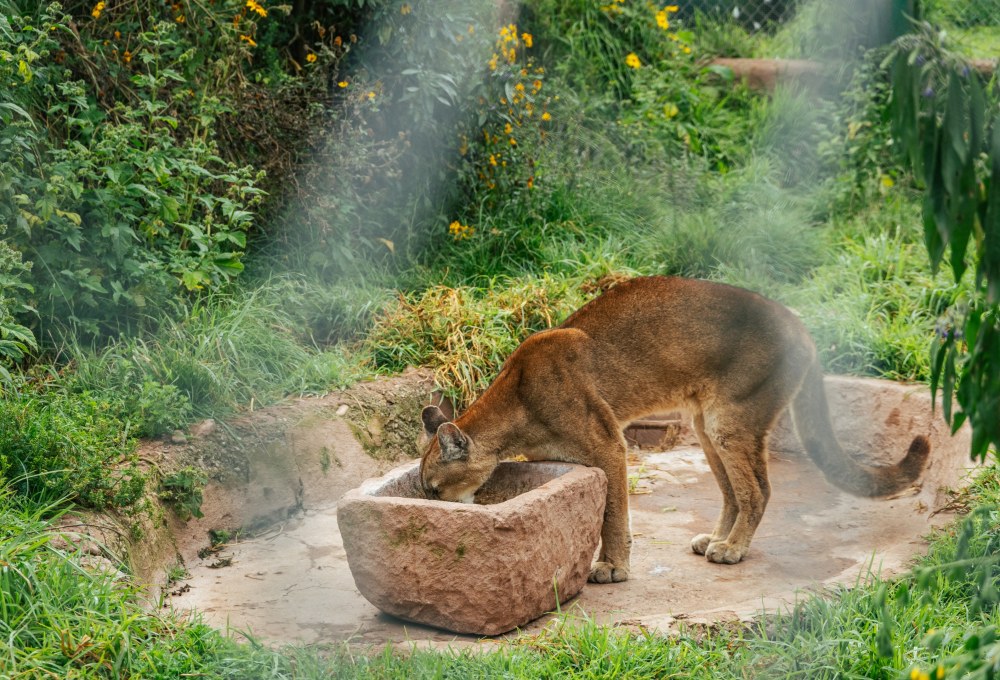 Beispiel für einen typischen Tag in deinem Projekt