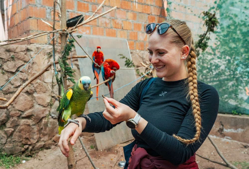 Beispiel für einen typischen Tag in deinem Projekt