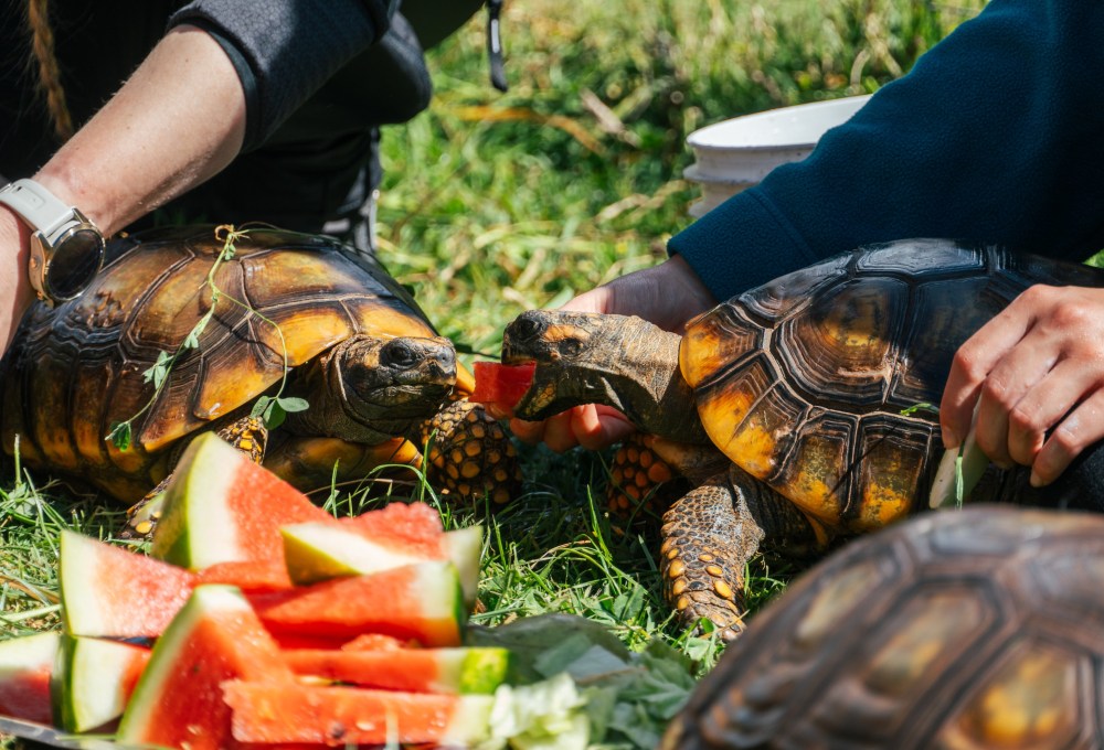 Beispiel für einen typischen Tag in deinem Projekt