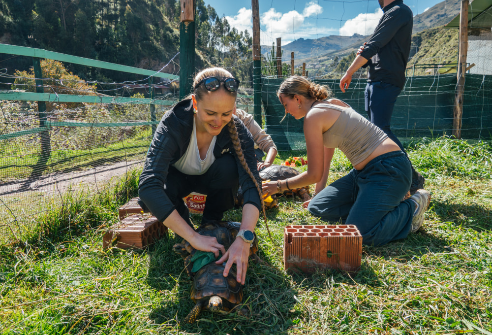 Beispiel für einen typischen Tag in deinem Projekt