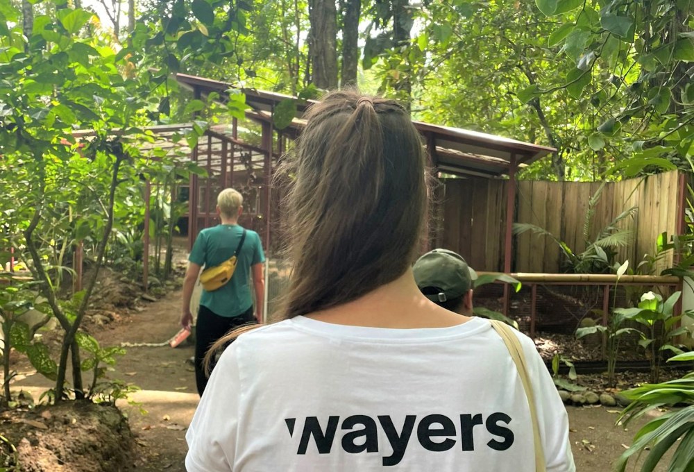 Dein Wildlife Projekt in Puerto Viejo